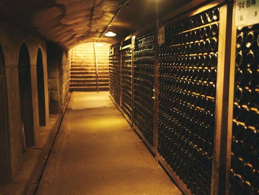 🍇 거봉 와이너리(쿄호 와이나리) 이미지 4